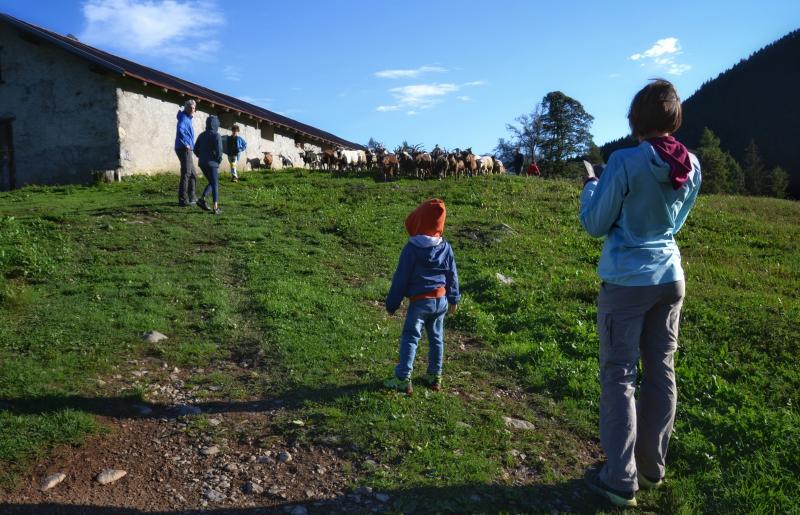 MALGA ALL'ALBA dal 29 al 3I luglio 